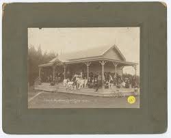 Image result for Wandham Cricket Club