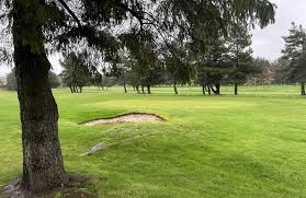 Image result for Harrysmuir Bowling Club