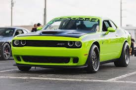 Image result for limecat