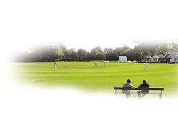Image result for Bitteswell Cricket Club