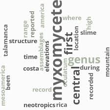 Attēlu rezultāti vaicājumam “Colloderma oculatum”