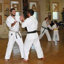 Image result for Ryusui-ryu Martial Arts School East Grinstead