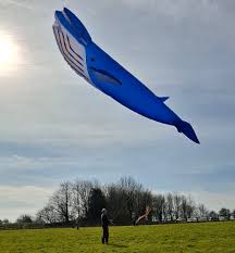 Image result for White Horse Kite Fliers Club