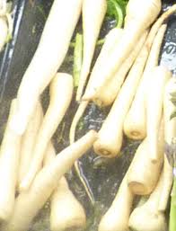 Attēlu rezultāti vaicājumam “Pastinaca sativa subsp. sylvestris”