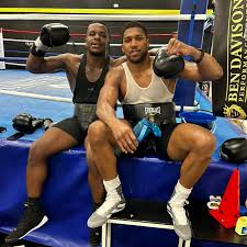 Image result for Calibre Performance Coaching