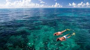 Image result for East Snorkellers