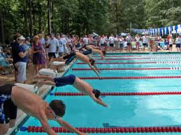 Image result for Downham & District Swimming Club