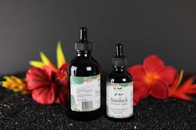 Attēlu rezultāti vaicājumam “Arctium lappa fruit”