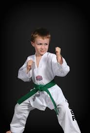 Image result for MASTER CHO TAEKWONDO CLUB