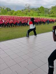 Image result for pohon semalu images