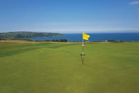 Image result for Cardigan Golf Club