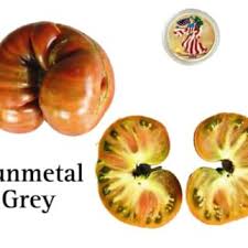 Afbeeldingsresultaat voor northern lights tomato