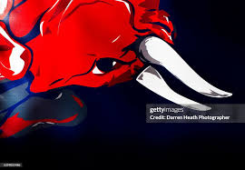 Image result for red bull logo