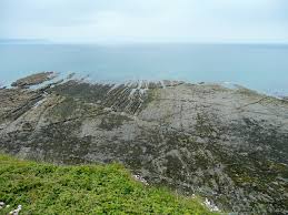 Image result for example