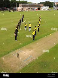 Image result for Peterborough Town Cricket Club