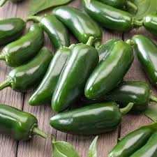 Afbeeldingsresultaat voor jalapeno early hot pepper