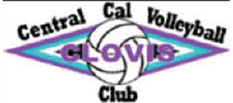 Image result for Calne Volleyball Club