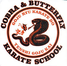 Image result for Cobra Karate Club