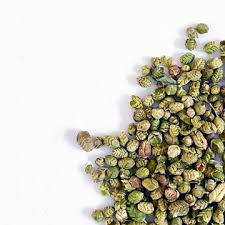 Attēlu rezultāti vaicājumam “Origanum vulgare bud”