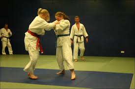 Image result for Southampton University Judo