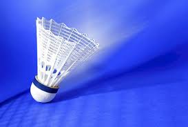 Image result for Dolphin Badminton Club