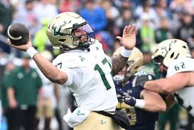 Attēlu rezultāti vaicājumam “Bryum funkii”