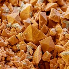 Attēlu rezultāti vaicājumam “Caloplaca saxicola”