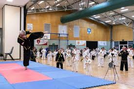 Image result for Cardiff Choi Kwang-Do