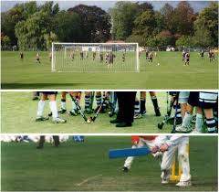 Image result for Auchterarder Primrose Juvenile Football Club