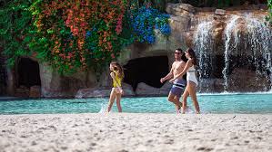 Image result for Discover Swimming