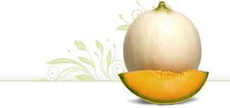 Image result for Melone