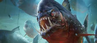 Image result for Prestatyn Piranhas