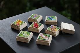 「宝町雨彦」の画像検索結果