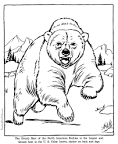 Grizzly Bear coloring page