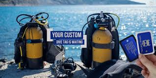 Image result for S England Dive Devil