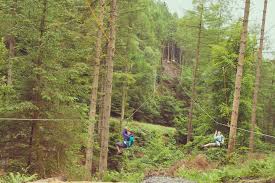 Image result for Go Ape! Grizedale