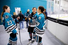 Image result for Stockton Ladies Hockey Club