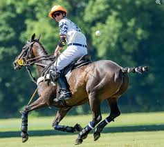 Image result for Cirencester Park Polo Club