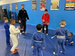 Image result for Skillz Martial Arts