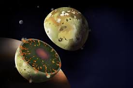 Image result for moon jupiter