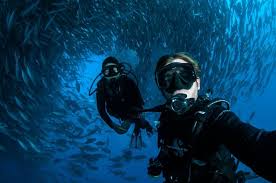 Image result for Tornado Divers