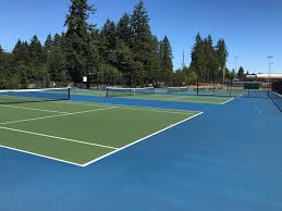 Image result for Mole Valley Mini Tennis Club