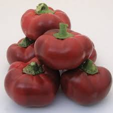 Afbeeldingsresultaat voor topepo giallo sweet pepper