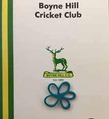 Image result for Boyne Hill Cricket Club