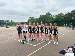 Image result for Wealden Netball Club