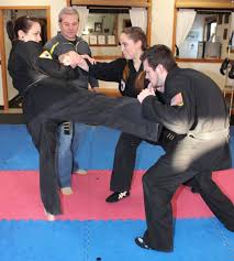 Image result for Springwood Karate