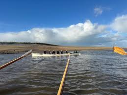 Image result for Appledore Pilot Gig Club