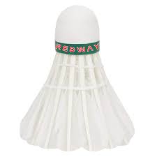 Image result for Redways Badminton Club