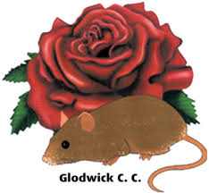 Image result for Glodwick Cricket Club