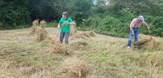 Image result for Heemtuin Rucphen